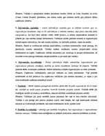 Referāts 'Organizācijas vadītāja analīze', 3.