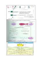 Konspekts 'Mikrobioloģija. Antivielas', 7.