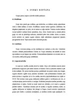 Referāts 'Lauka gurķu audzēšanas paņēmieni, to salīdzinājums un ekonomiskais novērtējums', 13.