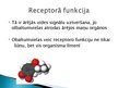 Prezentācija 'Olbaltumvielu funkcijas cilvēka organismā', 7.