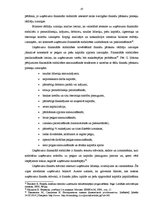 Diplomdarbs 'SIA "X" finansiālās stabilitātes analīze un attīstības iespējas', 10.