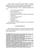 Diplomdarbs 'SIA "X" finansiālās stabilitātes analīze un attīstības iespējas', 27.