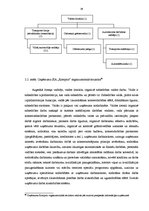 Diplomdarbs 'SIA "X" finansiālās stabilitātes analīze un attīstības iespējas', 28.