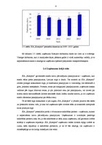 Diplomdarbs 'SIA "X" finansiālās stabilitātes analīze un attīstības iespējas', 31.
