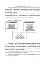 Referāts 'Antistresa stratēģija', 3.