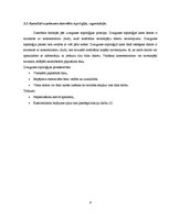 Prakses atskaite 'E-biznesa informācijas sistēmas', 9.