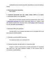 Prakses atskaite 'E-biznesa informācijas sistēmas', 13.