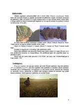 Referāts 'Neizsmeļamie enerģijas avoti, koksnes potenciālā loma enerģētikā, alternatīvi bi', 6.