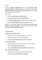 Paraugs 'Sporta diena pirmsskolā: fizisko, sociālo un radošo prasmju veicināšana bērniem', 1.