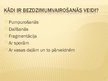 Prezentācija 'Bezdzimumvairošanās veidi', 3.