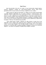 Konspekts 'Senā Roma', 1.