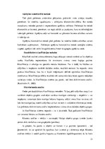 Diplomdarbs 'Bērnu laukuma izveide Ozolnieku novada "Veselības takā"', 21.