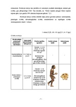 Referāts 'Teorijas par pirmatnējā cilvēka un sabiedrības rašanos', 7.