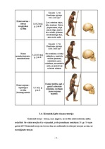 Referāts 'Teorijas par pirmatnējā cilvēka un sabiedrības rašanos', 8.