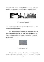 Referāts 'Stikls kā konstruktīvais, nesošais būvmateriāls', 10.