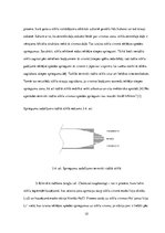 Referāts 'Stikls kā konstruktīvais, nesošais būvmateriāls', 12.