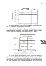 Referāts 'Uzņēmuma vadīšana mainīgas ārējās vides apstākļos', 31.