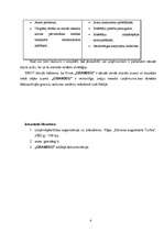 Referāts 'Uzņēmuma SWOT analīze', 4.