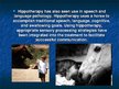 Prezentācija 'Hippotherapy', 10.