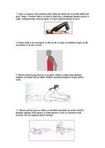 Konspekts 'Vingrojumi vienai muskuļu grupai - mugurai', 4.