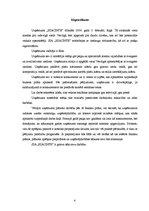 Biznesa plāns 'SIA "Hiacinte" biznesa plāns', 4.