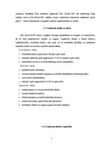 Biznesa plāns 'SIA "Hiacinte" biznesa plāns', 7.