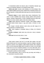 Biznesa plāns 'SIA "Hiacinte" biznesa plāns', 10.