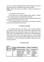 Biznesa plāns 'SIA "Hiacinte" biznesa plāns', 13.