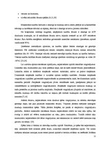 Diplomdarbs 'Ātruma attīstība 6.klases skolēniem sporta stundās', 13.