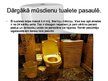 Prezentācija 'Tualete', 12.