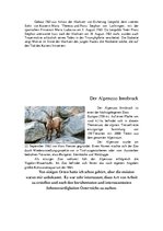 Prezentācija 'Reiseroute für eine Tour durch Österreich. Maršruts ekskursijai pa Austriju', 9.