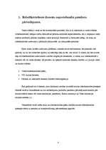 Referāts 'Robežšķērsošanas dienestu darbība starptautiskajos pasažieru pārvadājumos', 4.