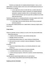 Referāts 'Robežšķērsošanas dienestu darbība starptautiskajos pasažieru pārvadājumos', 25.