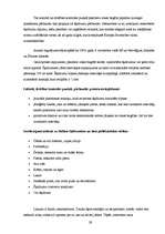 Referāts 'Robežšķērsošanas dienestu darbība starptautiskajos pasažieru pārvadājumos', 29.