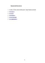 Referāts 'Robežšķērsošanas dienestu darbība starptautiskajos pasažieru pārvadājumos', 31.