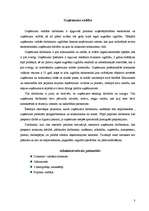 Biznesa plāns 'Biznesa plāns - SIA "Design"', 3.