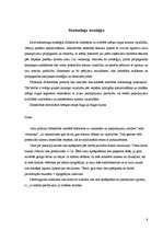 Biznesa plāns 'Biznesa plāns - SIA "Design"', 9.