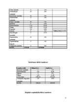 Biznesa plāns 'Biznesa plāns - SIA "Design"', 13.