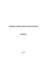Referāts 'Vecrīgas tūristu mītņu raksturojums', 1.