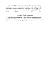 Referāts 'Vecrīgas tūristu mītņu raksturojums', 11.