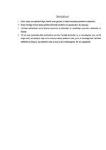 Referāts 'Vecrīgas tūristu mītņu raksturojums', 12.