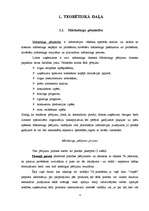 Referāts 'Uzņēmuma "X" mārketinga analīze', 3.