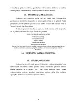 Prakses atskaite 'Datorsistēmu tehniķa kvalifikācijas prakses atskaite/pārskats', 4.