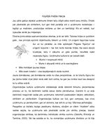 Referāts 'Organizācijas kultūra uzņēmumā "SIA"', 4.