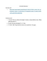 Referāts 'Organizācijas kultūra uzņēmumā "SIA"', 10.