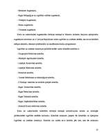 Referāts 'Izglītības un zinātnes ministrija', 20.