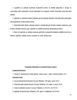 Referāts 'Izglītības un zinātnes ministrija', 23.