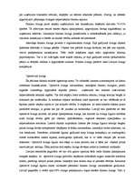 Referāts 'Līzings, tā veidi, plusi, mīnusi', 3.