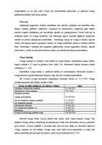 Referāts 'Līzings, tā veidi, plusi, mīnusi', 4.