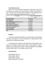 Referāts 'Līzings, tā veidi, plusi, mīnusi', 8.